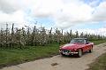 MG Bloesemrit op 24-4-2016 org. Jos&Marie-lou  (210)